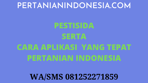 Pestisida Serta Cara Aplikasi Yang Tepat Pertanian Indonesia